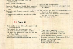 Psalms-53-54-55-what-can-man-do-to-me